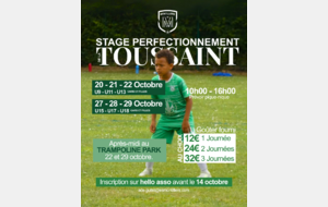 STAGE PERFECTIONNEMENT - TOUSSAINT