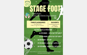 STAGE FEVRIER